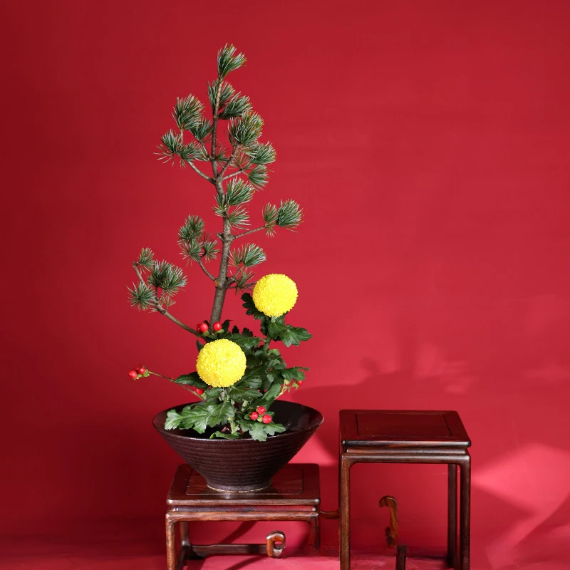 กบญี่ปุ่นแจกันเซรามิคช่อดอกไม้ - Ikebana Vase Kenzan บทวิจารณ์และราคา