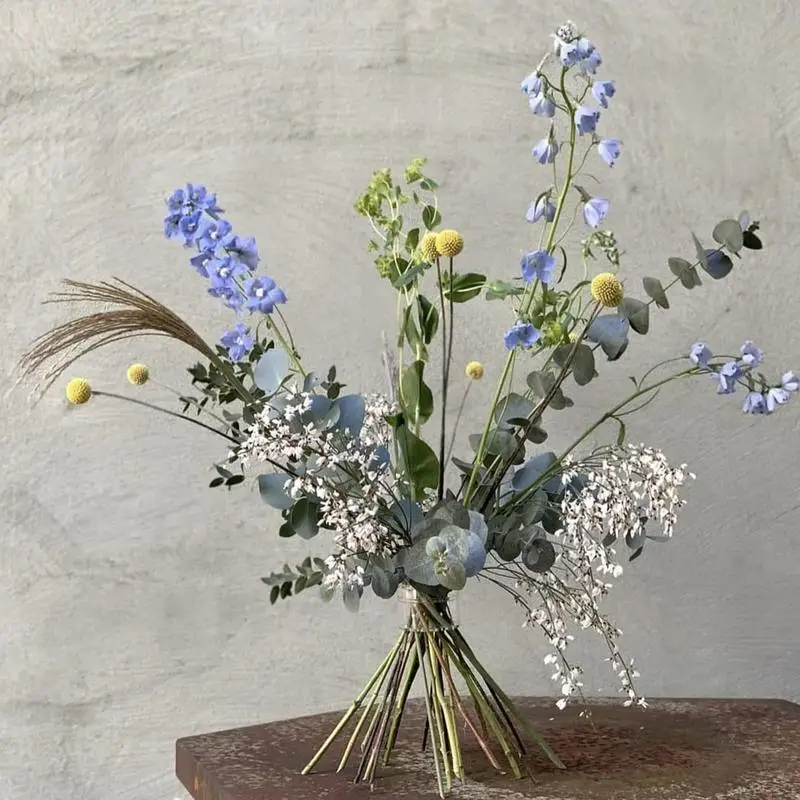 ที่วางก้านดอก ikebana แบบเกลีย - Ikebana Vase Kenzan บทวิจารณ์และราคา