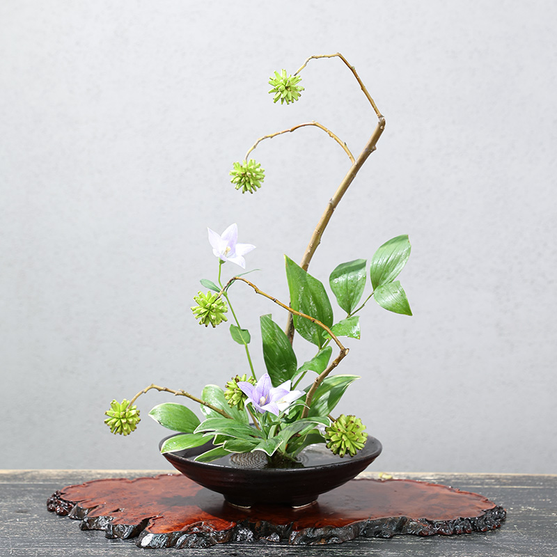 แจกันเซรามิกรูปกบญี่ปุ่นอุปกรณ - Ikebana Vase Kenzan บทวิจารณ์และราคา