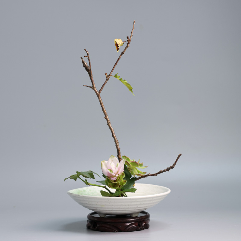 แจกันเซรามิกรูปกบญี่ปุ่นอุปกรณ - Ikebana Vase Kenzan บทวิจารณ์และราคา