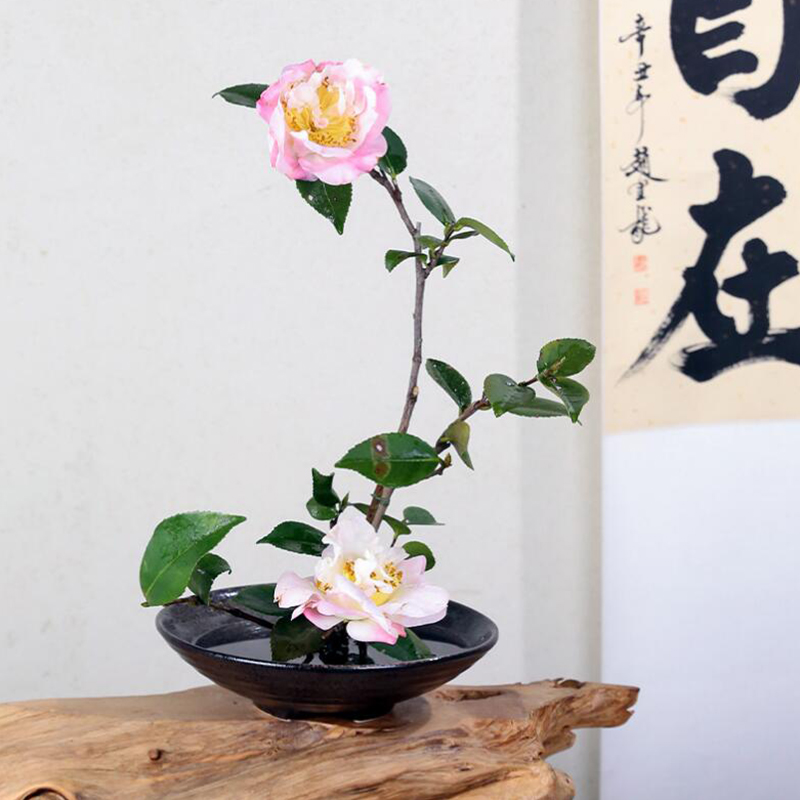 แจกันเซรามิกรูปกบญี่ปุ่นอุปกรณ - Ikebana Vase Kenzan บทวิจารณ์และราคา